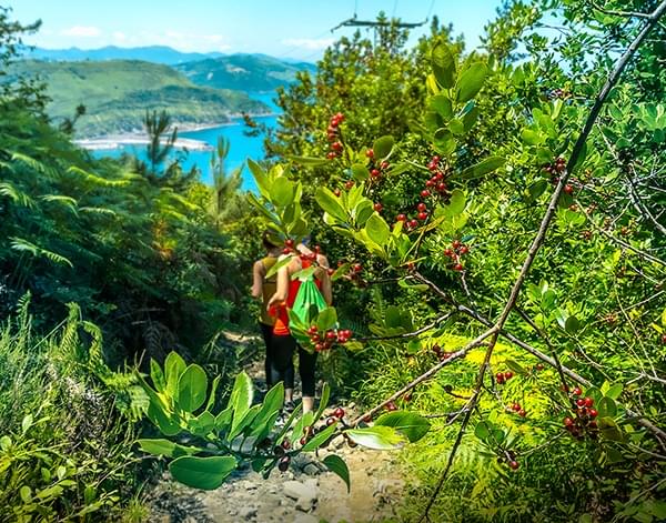 Pagmaya Beach Resort